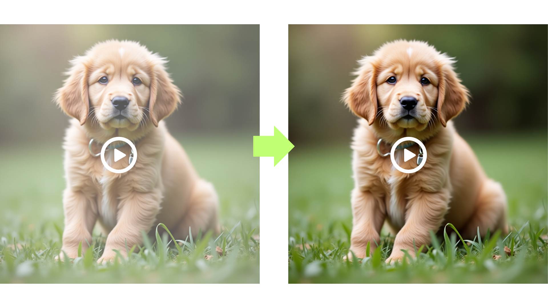 Using AI Video Enhancer to upgrade Video Resolution